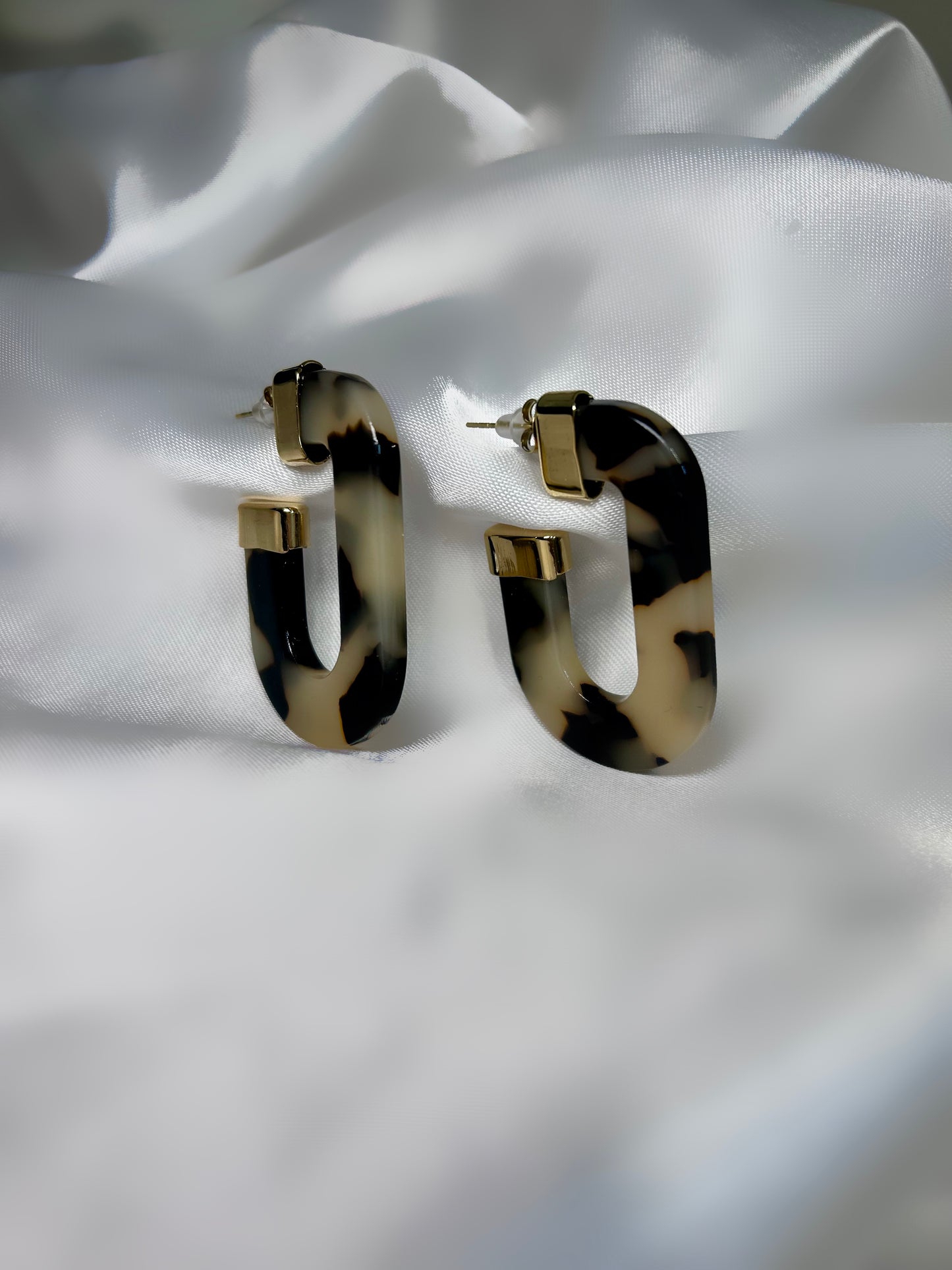 PENDIENTES CAREY